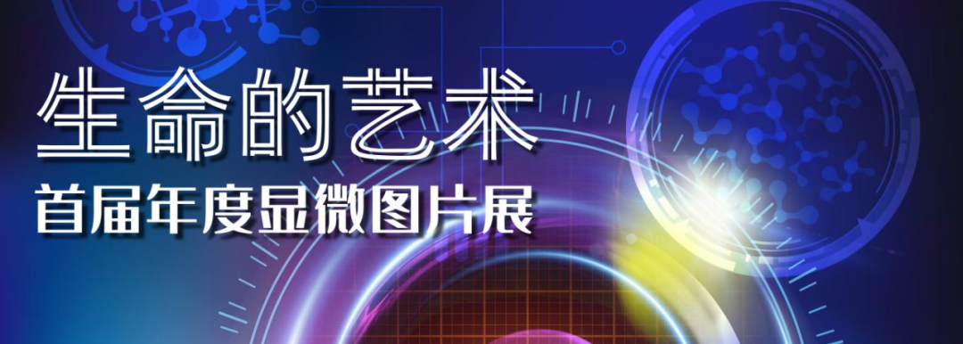 生命藝術.png