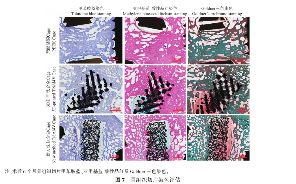 【文章薦讀】小尾寒羊頸椎前路椎間盤(pán)切除融合模型的建立及評(píng)估